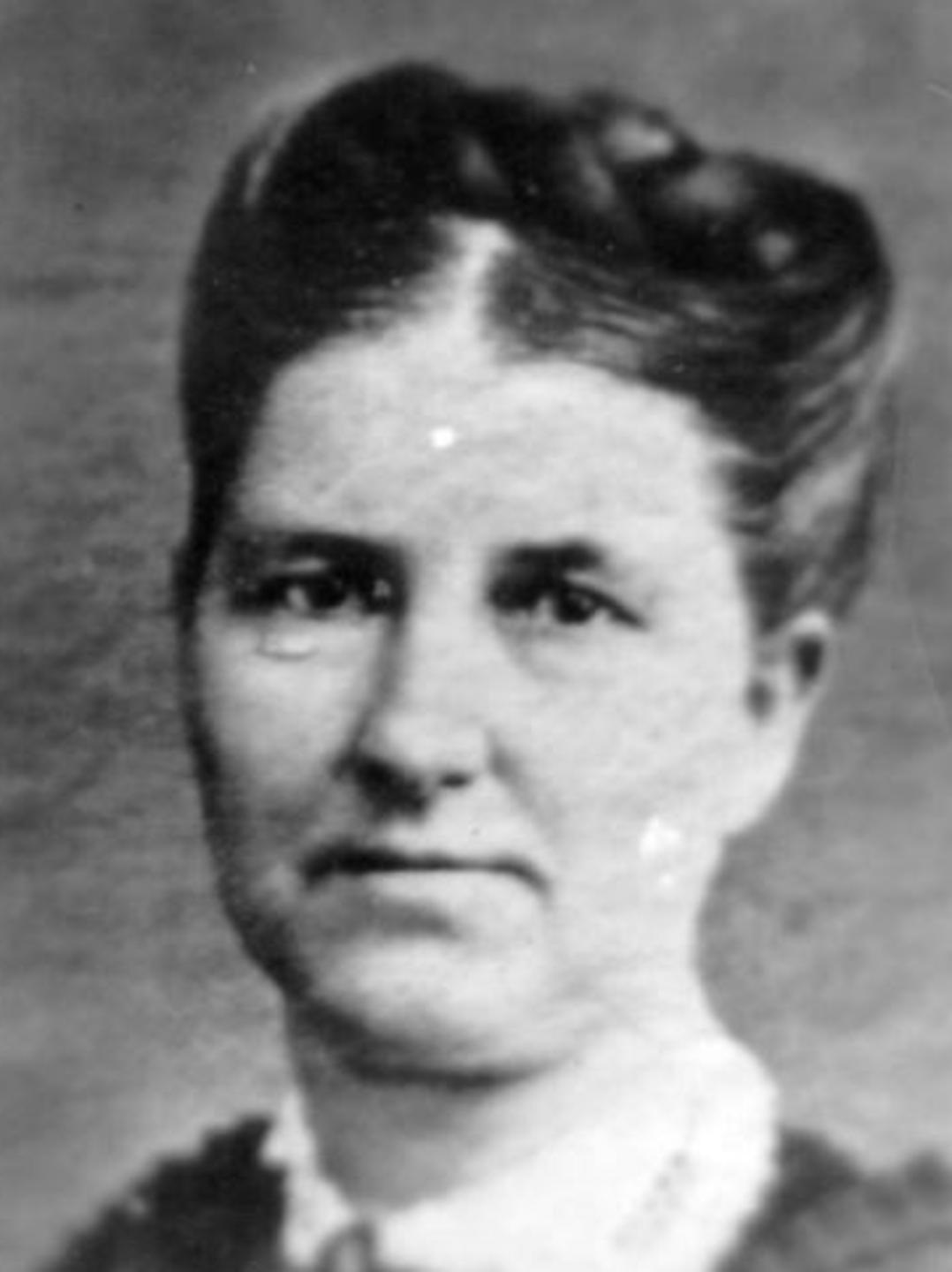 Sophia Lois Goodridge (1826 - 1903) Profile